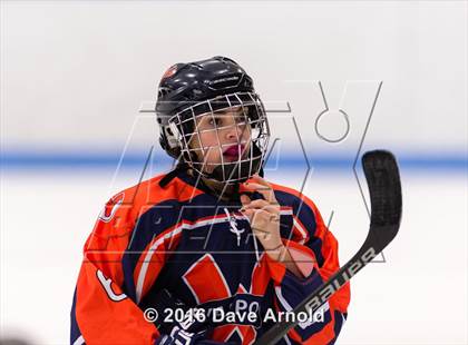 Thumbnail 1 in Walpole @ Dedham photogallery.