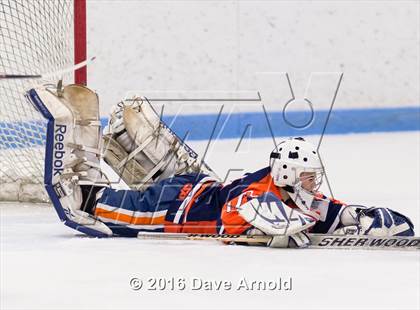 Thumbnail 3 in Walpole @ Dedham photogallery.