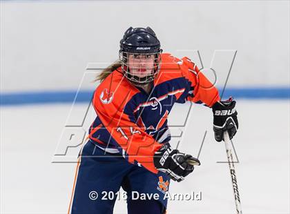 Thumbnail 1 in Walpole @ Dedham photogallery.