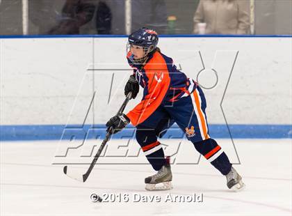 Thumbnail 3 in Walpole @ Dedham photogallery.
