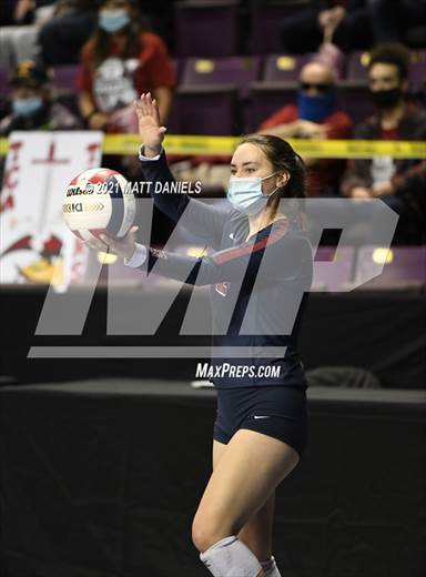 null - Photo 11