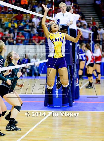 Thumbnail 1 in Fleming vs. Kit Carson (CHSAA 1A Semifinal Playoff) photogallery.