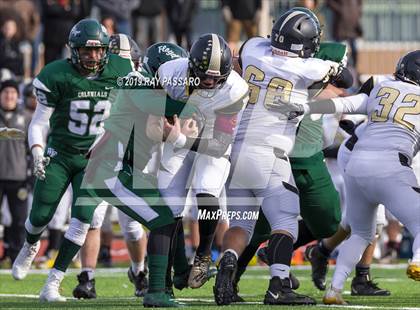 Thumbnail 2 in Commack @ William Floyd photogallery.