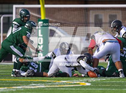 Thumbnail 2 in Commack @ William Floyd photogallery.