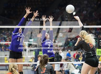 Thumbnail 1 in Lutheran vs. Sterling (CHSAA 3A Pool Play) photogallery.