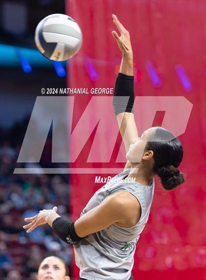 Thumbnail 1 in Papillion-LaVista South vs. Millard West (NSAA Class A Semifinal) photogallery.