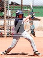 Photo from the gallery "Scottsdale Preparatory Academy @ Highland Prep"