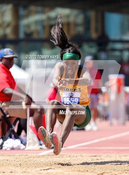Thumbnail 2 in UIL 6A State Track Meet photogallery.