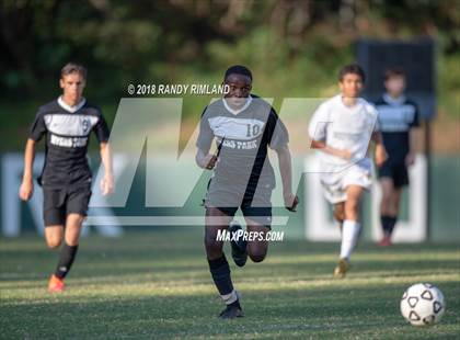 Thumbnail 2 in Independence @ Myers Park photogallery.
