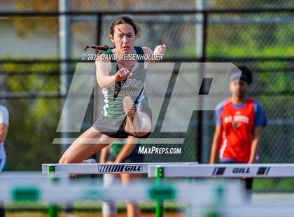 Thumbnail 1 in Section VIII Spring Meet (Seaford) photogallery.