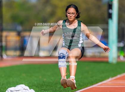 Thumbnail 2 in Section VIII Spring Meet (Seaford) photogallery.