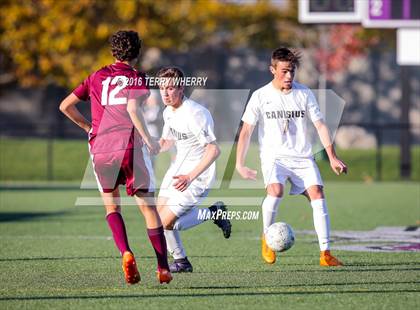Thumbnail 3 in St. Joseph's Collegiate Institute vs Canisius (Monsignor Martin Class A Final) photogallery.