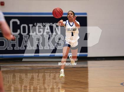 Thumbnail 2 in South County @ Charles J. Colgan photogallery.