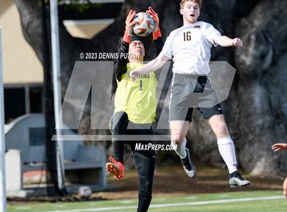 Thumbnail 1 in Mountain View @ Saint Francis (CIF CCS Open Quarterfinals) photogallery.