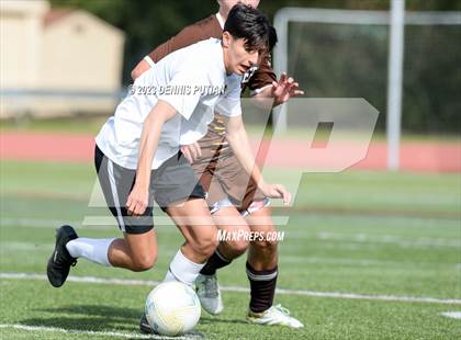 Thumbnail 2 in Mountain View @ Saint Francis (CIF CCS Open Quarterfinals) photogallery.