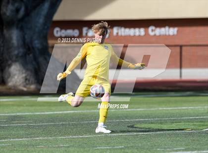 Thumbnail 2 in Mountain View @ Saint Francis (CIF CCS Open Quarterfinals) photogallery.