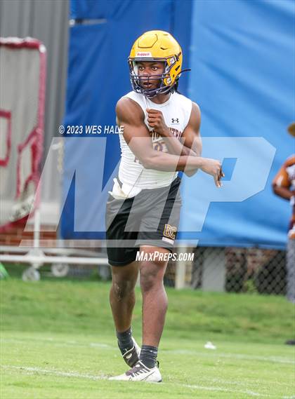 Thumbnail 2 in Horn Lake vs DeSoto Central (U of Memphis 7v7) photogallery.