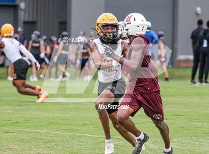 Thumbnail 1 in Horn Lake vs DeSoto Central (U of Memphis 7v7) photogallery.