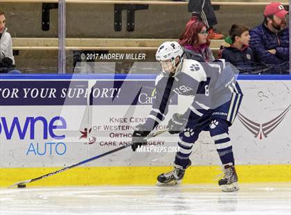 Thumbnail 2 in Pittsford vs. Williamsville North (NYSPHSAA D1 Final) photogallery.