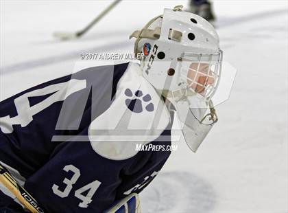 Thumbnail 1 in Pittsford vs. Williamsville North (NYSPHSAA D1 Final) photogallery.