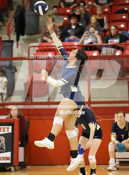Thumbnail 3 in Perrin-Whitt vs Electra photogallery.