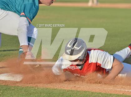 Thumbnail 2 in Plant City @ Carrollwood Day photogallery.