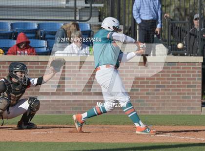 Thumbnail 3 in Plant City @ Carrollwood Day photogallery.