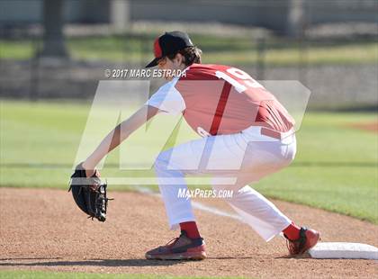 Thumbnail 3 in Plant City @ Carrollwood Day photogallery.