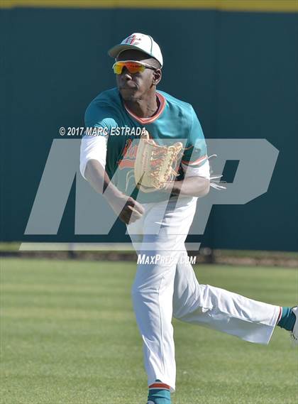 Thumbnail 3 in Plant City @ Carrollwood Day photogallery.