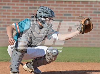 Thumbnail 3 in Plant City @ Carrollwood Day photogallery.