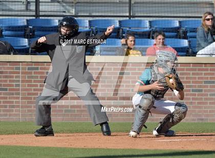 Thumbnail 3 in Plant City @ Carrollwood Day photogallery.
