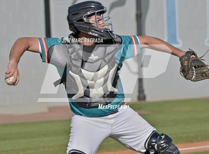 Thumbnail 3 in Plant City @ Carrollwood Day photogallery.