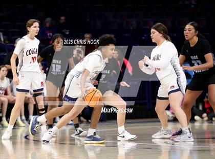Thumbnail 1 in Mica Mountain vs Sahuaro (McKale Center) photogallery.