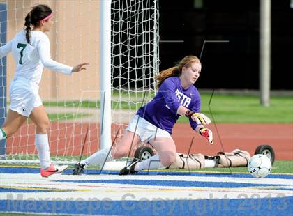 Thumbnail 2 in Fossil Ridge vs. Mountain Vista (CHSAA 5A Semifinals) photogallery.