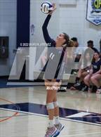 Photo from the gallery "Campbell Hall @ Viewpoint"