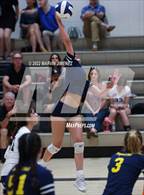 Photo from the gallery "Campbell Hall @ Viewpoint"