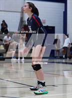 Photo from the gallery "Campbell Hall @ Viewpoint"
