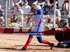 Photo from the gallery "Red Mountain @ Mountain View"