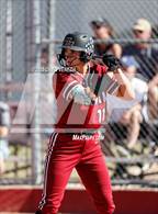 Photo from the gallery "Red Mountain @ Mountain View"