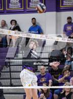 Photo from the gallery "Mountain View vs Mesa (AIA 6A Round 1 Playoff)"