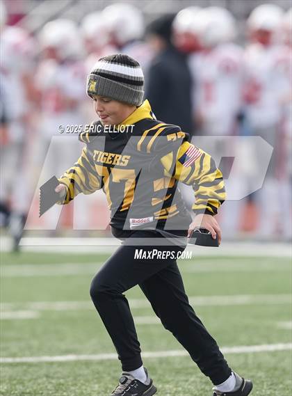 Thumbnail 1 in Avonworth vs Northwestern Lehigh (PIAA 3A Final) photogallery.