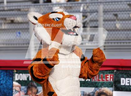 Thumbnail 2 in Avonworth vs Northwestern Lehigh (PIAA 3A Final) photogallery.