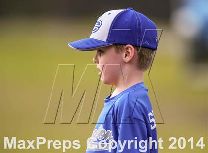 Thumbnail 2 in Menendez @ Ponte Vedra photogallery.