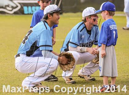 Thumbnail 2 in Menendez @ Ponte Vedra photogallery.