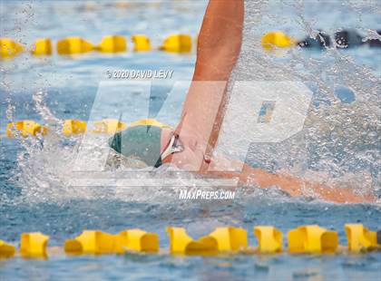 Thumbnail 1 in AIA D2 Swim Finals photogallery.