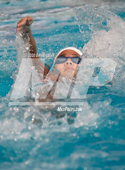 Thumbnail 1 in AIA D2 Swim Finals photogallery.