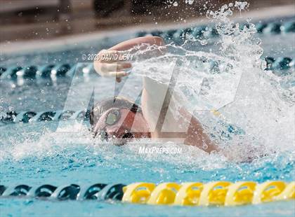 Thumbnail 3 in AIA D2 Swim Finals photogallery.