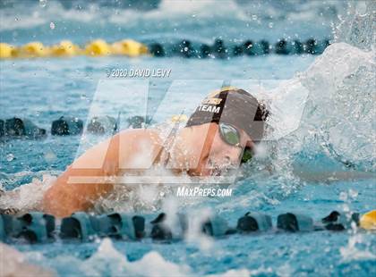 Thumbnail 3 in AIA D2 Swim Finals photogallery.