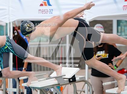 Thumbnail 1 in AIA D2 Swim Finals photogallery.