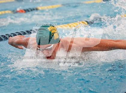 Thumbnail 3 in AIA D2 Swim Finals photogallery.